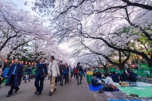Ueno Park jepang tokyo tour murah ke jepang 2016 tour murah ke jepang dan korea tour murah ke jepang desember
