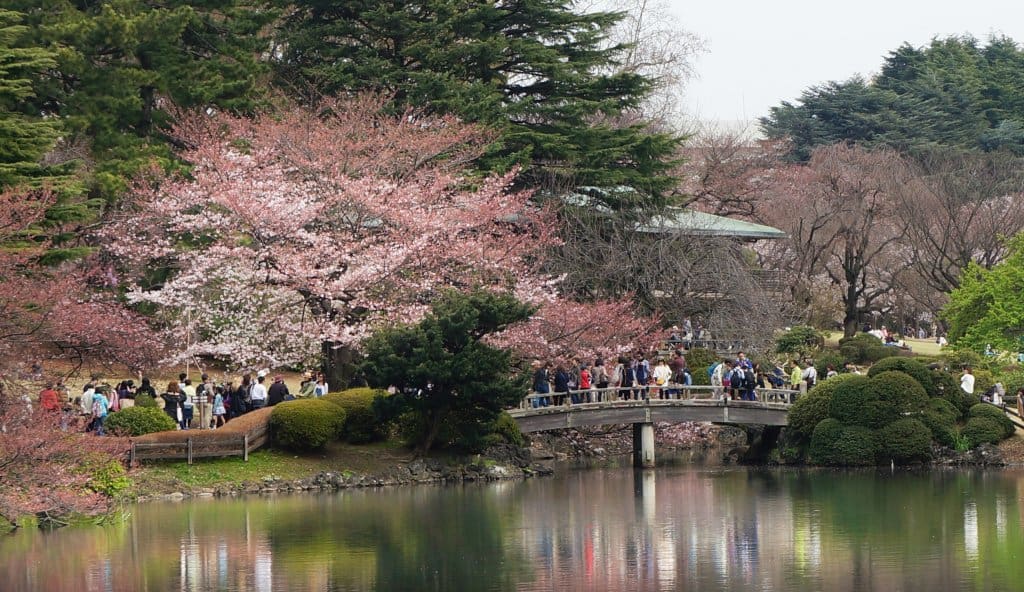 Paket Tour Wisata Jepang Musim Sakura 29 Maret - 3 April 2018 2