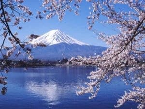 Paket Tour Wisata Jepang Musim Sakura 29 Maret - 3 April 2018 7